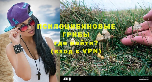синтетический гашиш Новозыбков