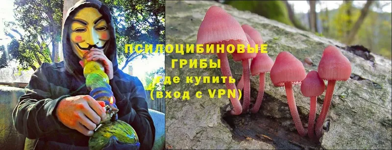 закладки  Мамадыш  Галлюциногенные грибы Magic Shrooms 