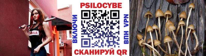 Псилоцибиновые грибы мицелий  Мамадыш 